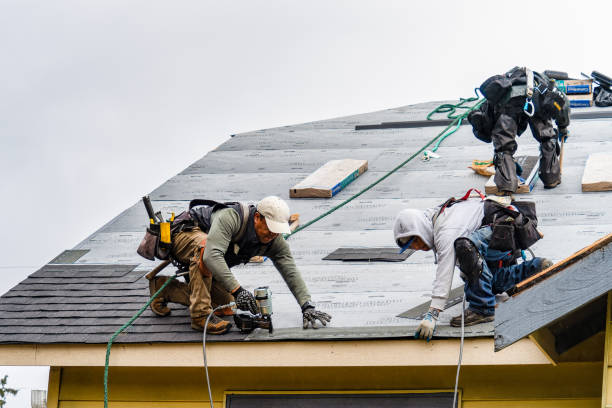 Professional Gutter Installation technician working in Alapaha, GA
